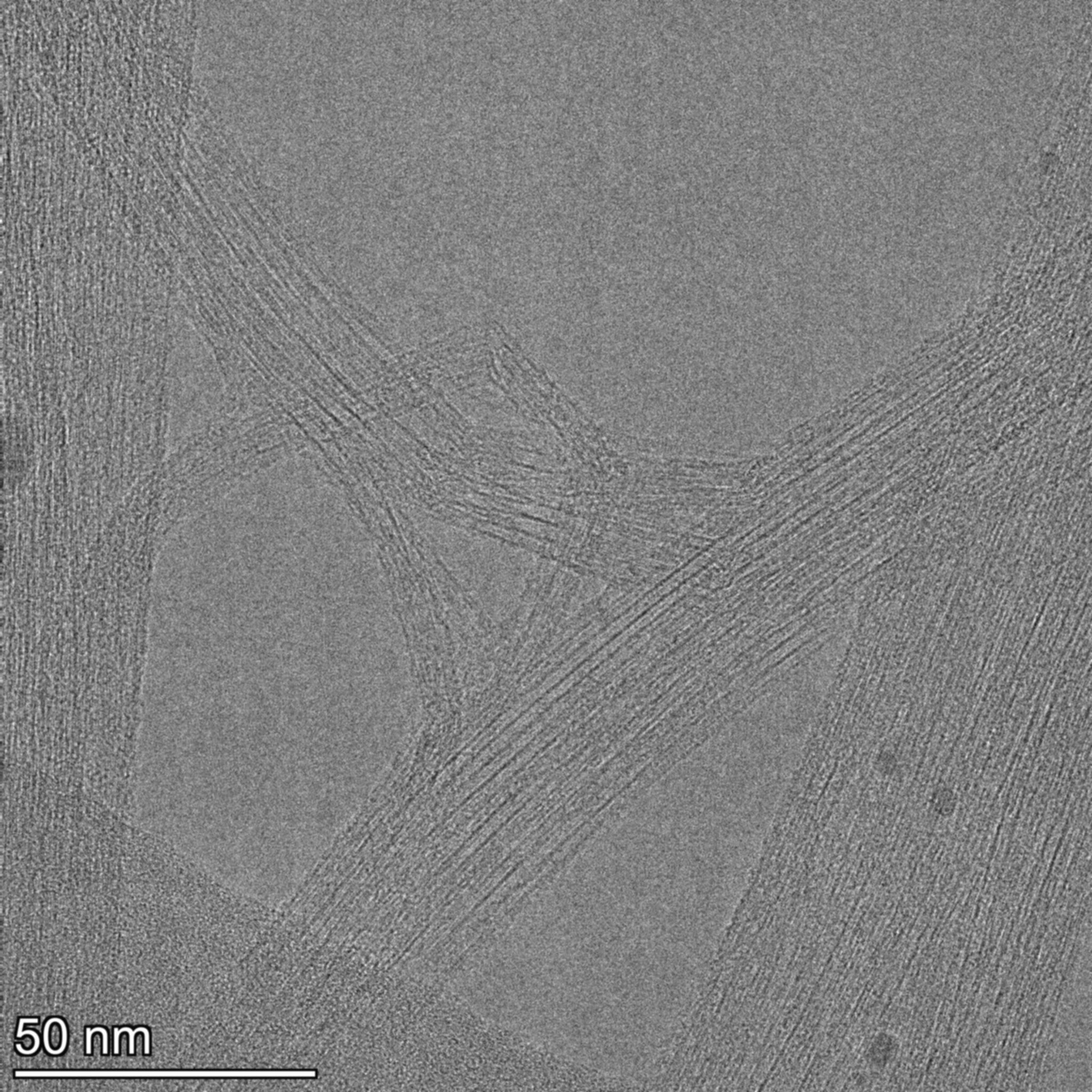 Raw TEM micrograph showing CNT bundles and wall contrast