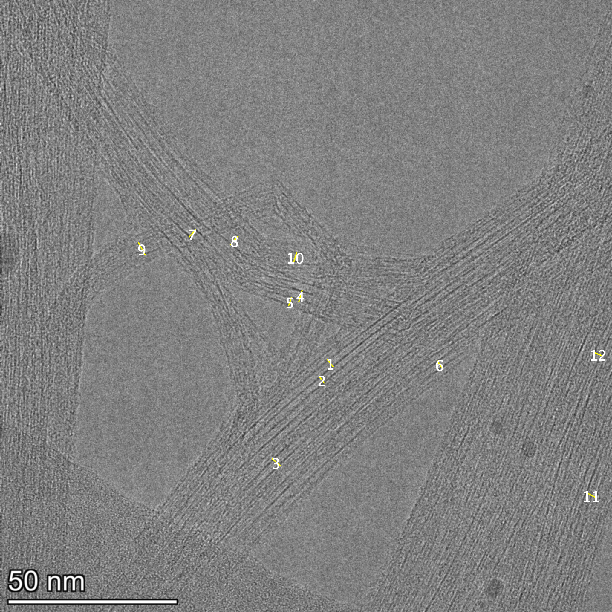 Fiji annotations burned into TIFF image